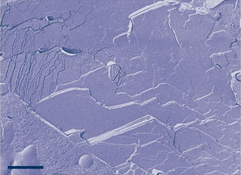 lamellaressytem